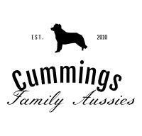 Cummings Family Aussies